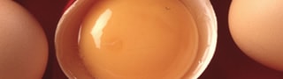 Emulsifiant