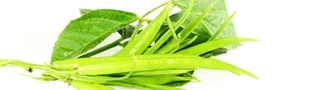 Gomme de guar