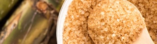 Sucre de canne